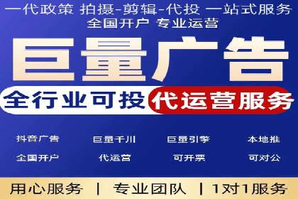 谷歌竞价案例：成功案例分析及启示